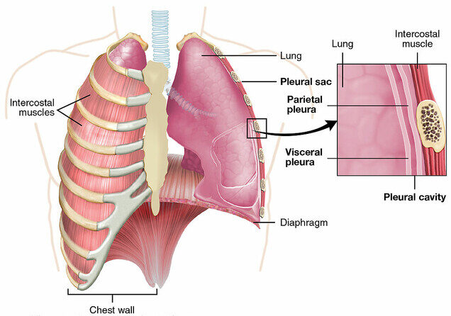 Chest Wall Tumor Surgery