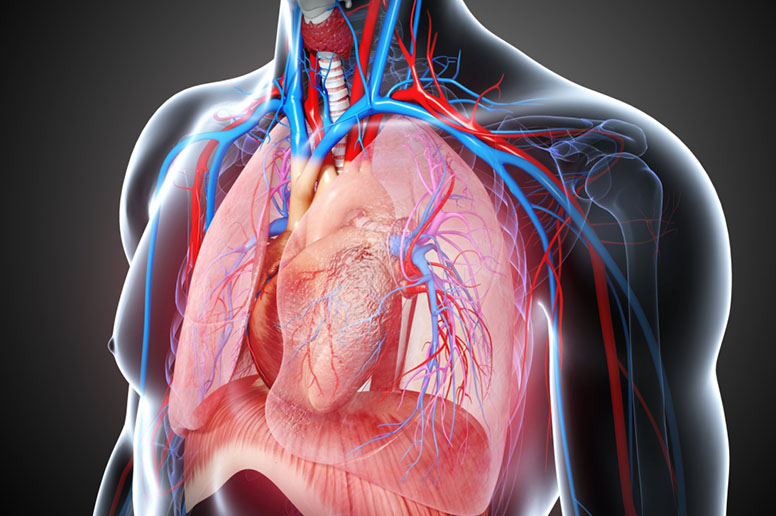 Follow-Up Care For Thoracic Surgery Patients